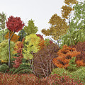 Autumn day in Raleigh