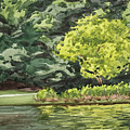 Plein air study- Durant Park