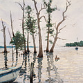 Safe Harbor